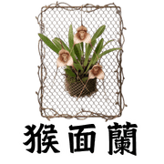 034