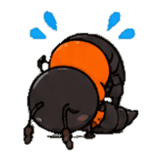 009