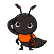 013