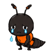 021