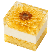 036