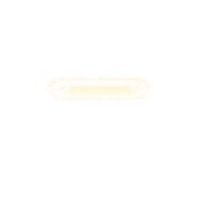 251
