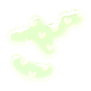 061
