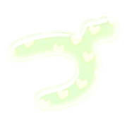 068