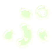 078