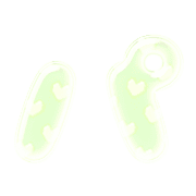 156