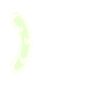 235