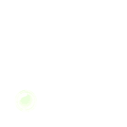 246