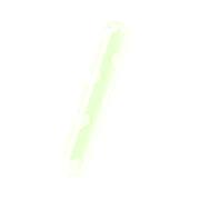 247