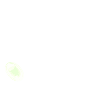 256