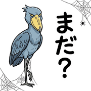 005