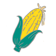 019