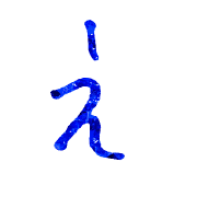 004