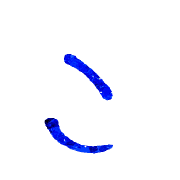 010