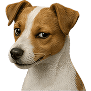 023