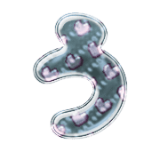 003