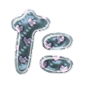 016