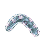 029
