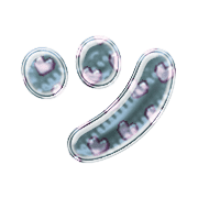 098