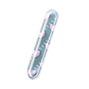 247