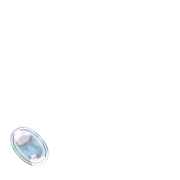 256