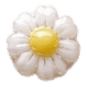 019