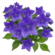 011