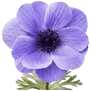 017