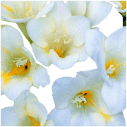 022