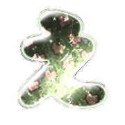004