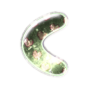008