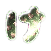 009