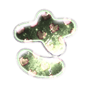 011