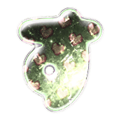 013