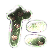 016