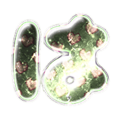 026