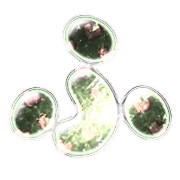 028