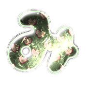 032