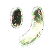 040