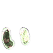 048