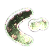058