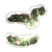 060