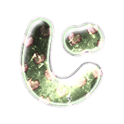 062