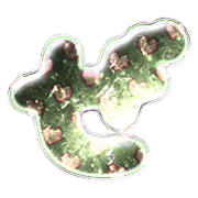 064