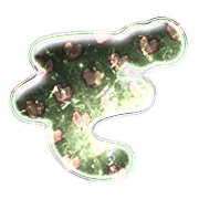 065