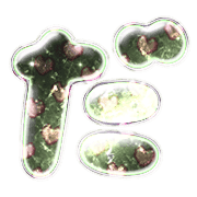 066