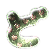 070