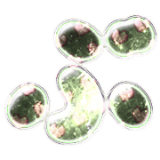 073