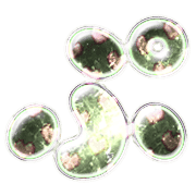 078