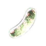 105
